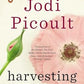 Harvesting the Heart (Paperback) Jodi Picoult