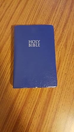 NEW Internation Verision Holy Bible (Paperback)