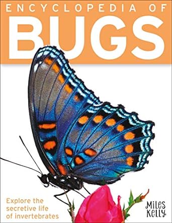 Encyclopedia of Bugs (Paperback) Miles Kelly Publishing
