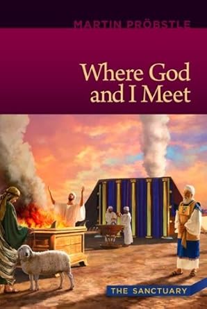 Where God and I Meet: The Sanctuary (Paperback) Martin T. Preobstle