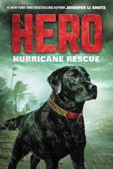 Hero: Hurricane Rescue (Hero, 2 of 3) (paperback) Jennifer Li Shotz