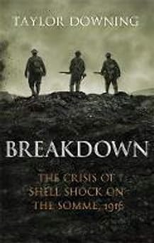 Breakdown (hardcover) Taylor Downing