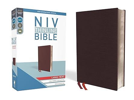 NIV, Thinline Bible, Large Print (paperback) Zondervan