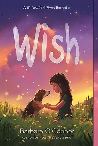 Wish (Paperback) Barbara O'Connor
