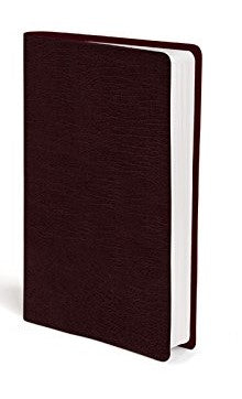 NIV Giant Print Compact Bible (Paperback) Zondervan