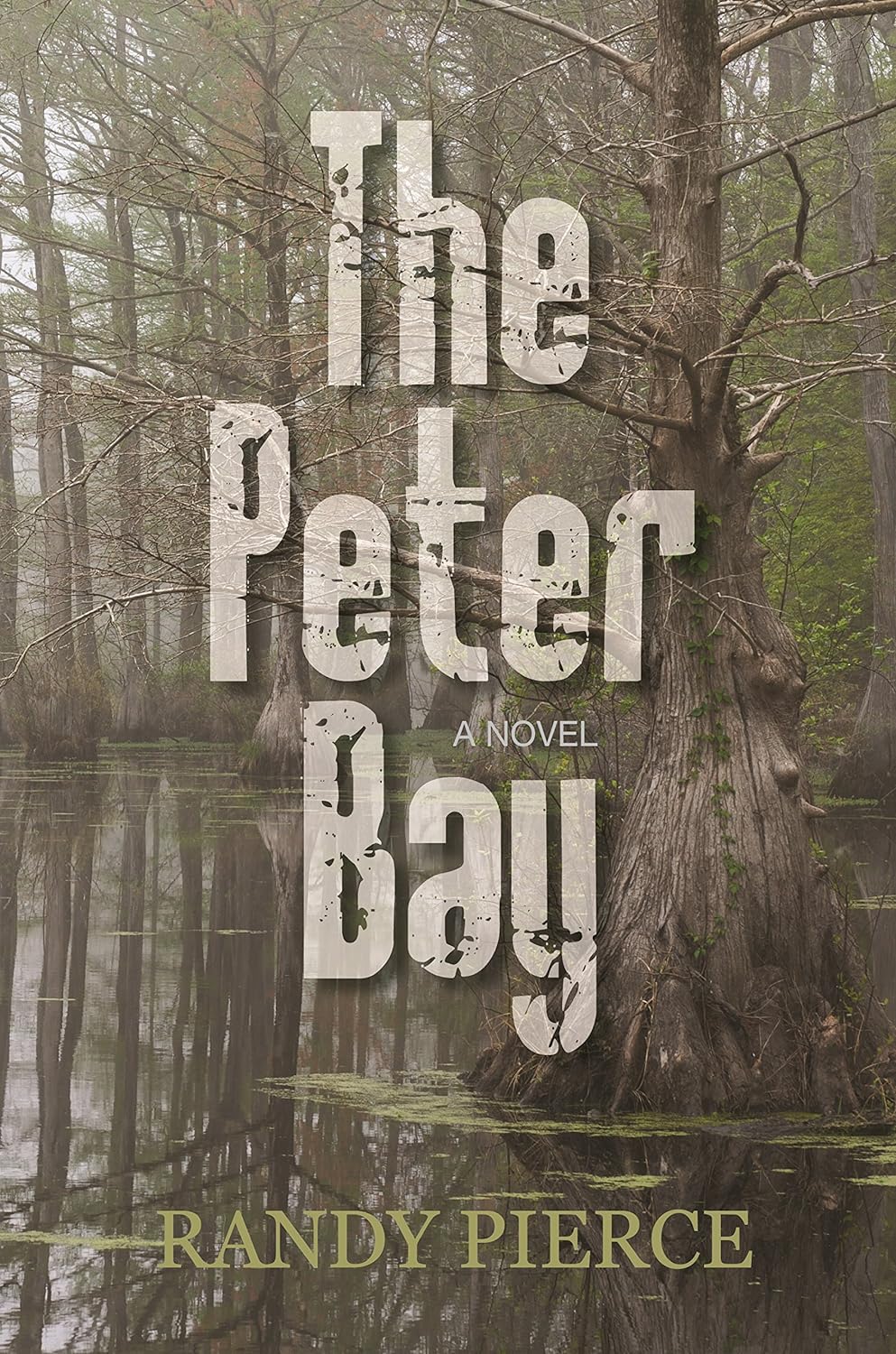 The Peter Bay (hardcover) Randy Pierce