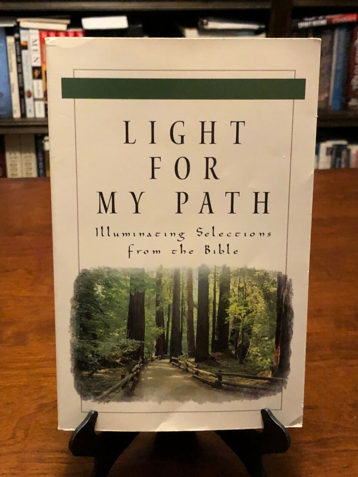 Light For My Path (Paperback) Various